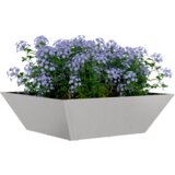 Metalna sadilica Nehrđajući čelik 50 x 50 x 15 cm Ukrasni umetci | shoptok.hr