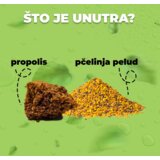 Hedera Nativni Propolis, 100% prirodno rješenje za jači imunitet, 120 kapsula | shoptok.hr