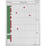 magnetoplan Planer prisotnosti in odsotnosti, ŠxV 450 x 600 mm, za 30 zaposlenih Cene