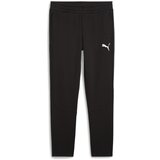 Puma muški donji deo trenerke evostripe pants dk, 681702-01, crni Cene