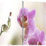 vidaXL Sklopiva sobna pregrada s uzorkom cvijeća 217 x 170 cm | shoptok.hr
