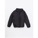 LC Waikiki Standard Mold Hooded Men's Puffer Coat | Shoptok.si