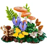 Botanical Collection - Šumske gljive (11505)