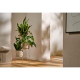 Ambia Home CVETLIČNI LONEC | Shoptok.si