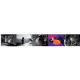 Night Pearl Scops 35 MAX III - Monokul za termoviziju | shoptok.hr