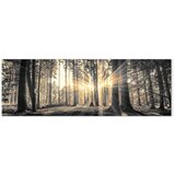  Slika - Forest Sun 135x45 Premium Print | shoptok.hr