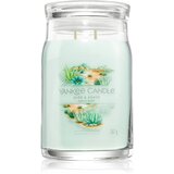 Yankee Candle Aloe & Agave dišeča sveča 567 g Cene