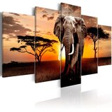  Slika - Elephant Migration 100x50 Cijene