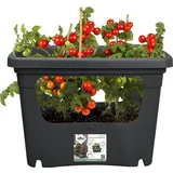 ELHO green basics Stack & Grow large - Črna