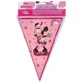 fiesta, zastava, minnie mouse