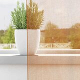 Voile zavjese s ušicama 2 kom terakota | Shoptok.si