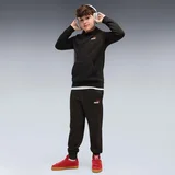 Flis Ess 2 Color Small No. 1 Logo Hoodie Fl B Črna