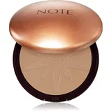 Bronzing Powder bronzer 20 20 g