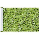 Maximex Zelen plastičen balkonski zastor 500x85 cm Wilder Wein – | Shoptok.si