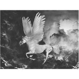  Tapeta - Pegasus on the way to Mount Olympus 350x270 | shoptok.hr