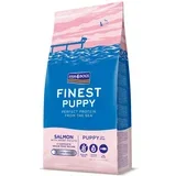 Finest Puppy large losos s batatom