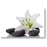  Slike na platnu feng shui FS029E11 (moderne slike na platnu) | shoptok.hr