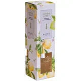 Osvježivač prostora s drvenim štapićima 50ml Citrus ROU.