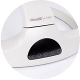 Chipolino ležaljka E-Sway Biscotta | shoptok.hr