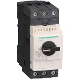Schneider Electric Motorni zaščitni odklopnik 48-65A GV3P65, (21224380)