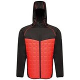 Regatta Modular Thermal sarena Cijene