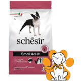 Schesir small Dog, Ham 2kg, Hrana Sa Šunkom i Dodatkom Vitamina i Minerala Cene