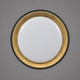  LED plafonjera R-A43, 30 W Cene