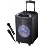 Xplore karaoke sistem XP8800 pacha 2 BT/FM/microSD/mic/250W Cene'.'