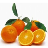Nepoznato Pomorandža 1kg | ePonuda.com