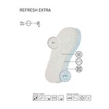 Coccine  | ePonuda.com