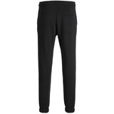 JJ Rebel muŠki donji deo trenerke logo sweat pants crne Cene
