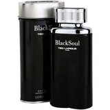 Ted Lapidus Black Soul toaletna voda za moške 100 ml | Shoptok.si