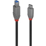 Lindy USB kabel USB 3.2 gen. 1 (USB 3.0) USB-C® vtič\, USB-B vtič 1.00 m črna 36666, (20614413) | Shoptok.si