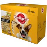 Pedigree Kesice Piletina, Govedina, Ćuretina i Jagnjetina u sosu 12x100 g - 48-kg | ePonuda.com