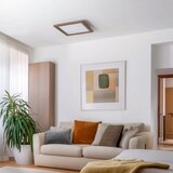Brilagi LED plafonsko svetlo SLIMFRAME WOOD LED/36W/230V 49,5x49,5 cm tamno braon | Eponuda.com
