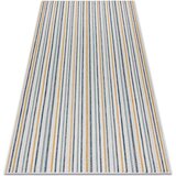RugsX Preproge Preproga v videzu sisala COOPER Črte, Etno 160x220 cm Bež | Shoptok.si
