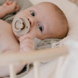 Bibs pamučni podbradnjak dark oak | shoptok.hr