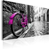  Slika - Vintage Pink Bike 120x80 | shoptok.hr