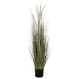  Umjetna biljka (150 cm, Plastika) cijene