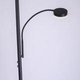 PAUL NEUHAUS Leuchten Direkt 11709-18 - LED prigušiva svetiljka HANS LED/22W/230V + LED/4W | Eponuda.com