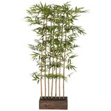 MID.YOU Umetna Rastlina Bambus I | Shoptok.si