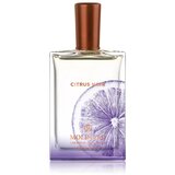 Molinard Unisex parfem Citrus Noir, EDP, 75 ml Cene