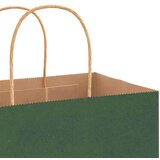  Papirnate vrećice 250 kom s ručkama zelene 21x11x31 cm | shoptok.hr