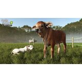 Giants_Software Farming Simulator 25 - Beans & Alpacas Edition (XBOX Series X) | Shoptok.si