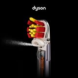 Dyson občutljive glave krtače (2 kosa) 975778-01 Slike
