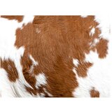  Tapeta - Cowhide 350x270 | shoptok.hr