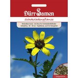 Dürr Samen Čokoladna kozmeja Cene