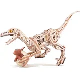 Velociraptor - 1 set