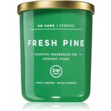 DW Home Essence Fresh Pine dišeča sveča 108 g | Shoptok.si