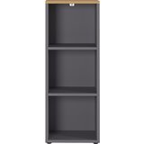 Germania Antracitno siva knjižna omara v hrastovem dekorju 45x120 cm Agenda - Germania Cene